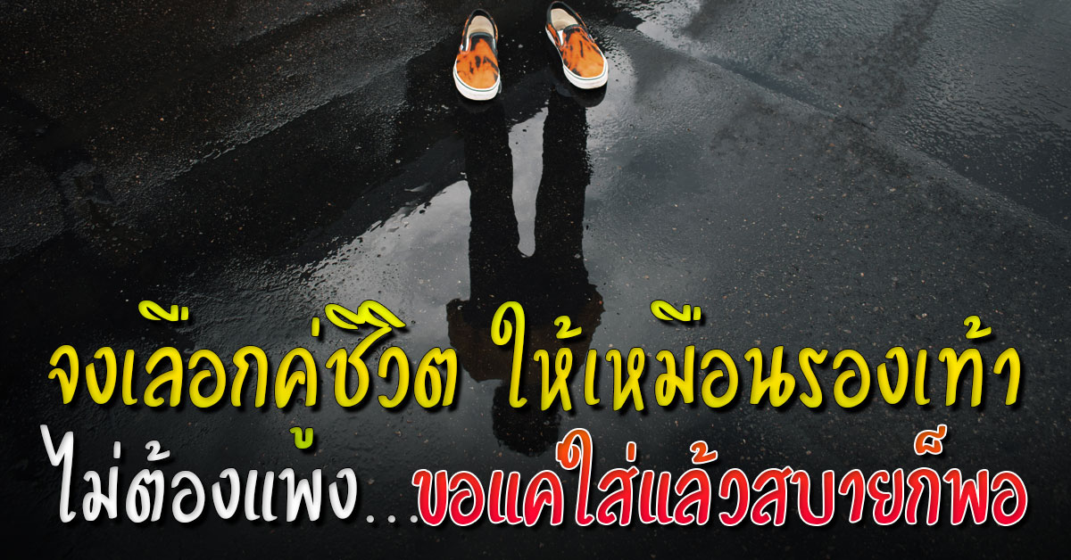 จงเลือกคู่ชี